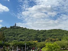 -苏州上方山国家森林公园
