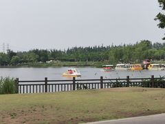 -上海长兴岛郊野公园