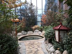 -悦隆庄温泉度假酒店