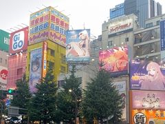 -秋叶原电器街