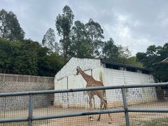 -泉州海丝野生动物世界