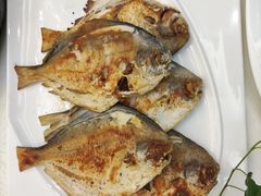 白苍鱼-御和宴·精品粤菜(天润御海湾店)