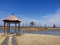 -春花秋色城市公园