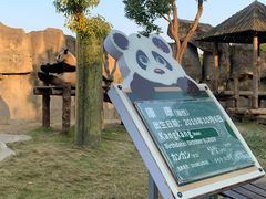 -上海野生动物园