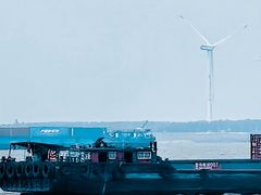 -上海滨江森林公园