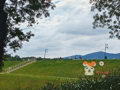 -佛手湖郊野公园