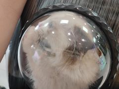 -中农大我爱我爱动物医院·核磁CT·猫病·24小时夜诊中心(石佛营店)