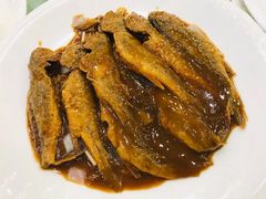 悸头鱼-奥华餐厅·老张记(台基厂店)