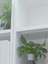 -清颜堂丨分子祛痘·功效美肤