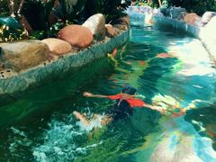 -渔岛海洋度假区