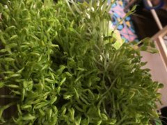 -椰夫人·养生椰子鸡(黄埔时代城店)