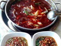 -蜀滋香鲜鱼美蛙火锅(339店)