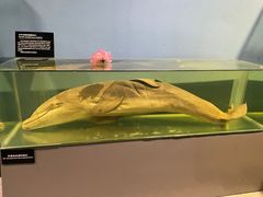 -泉城欧乐堡海洋极地世界