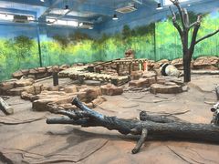-秦皇岛野生动物园