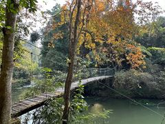 -中国科学院西双版纳热带植物园