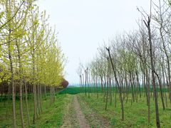 -秦岭风景区