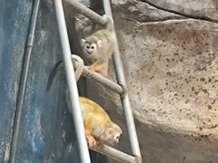 -蓬莱欧乐堡海洋极地世界
