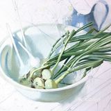 🌵一组超写实的水彩静物绘画步骤！