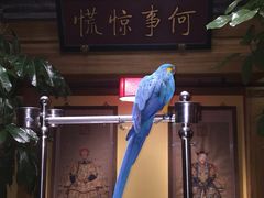 -那家小馆•北京菜•烤鸭(中关村店)