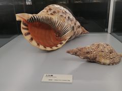 -天津古林古海岸遗迹博物馆