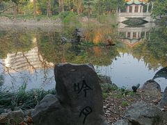-叶家花园