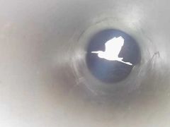 -白鹭湾湿地公园