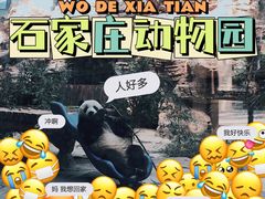 -石家庄市动物园