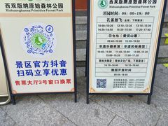 -西双版纳原始森林公园