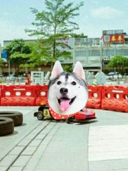 -速度小子卡丁车(基盛万科里店)