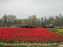 -东平国家森林公园