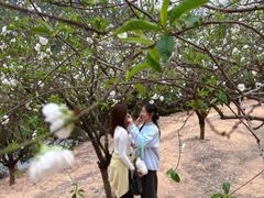 -南国桃园旅游度假区