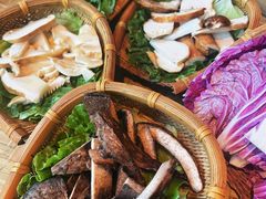 -滇野云南野生菌餐厅(陕西南路店)