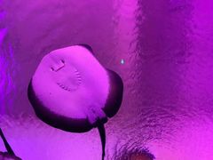 -波塞冬旅游度假区