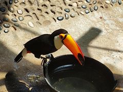 -石家庄市动物园