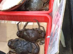 -龙海鲜螃蟹王(宏茂桥店)