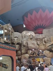 -卡通尼·Safari非洲探索乐园·生日会(金桥国际商业广场店)