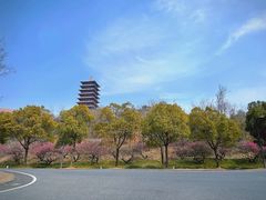 -牛首山文化旅游区