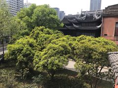 -上海白云观