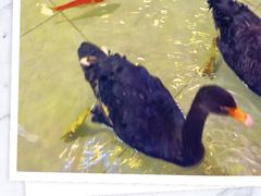 -首创奥特莱斯(北京店)