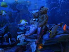 -成都泰迪熊博物馆