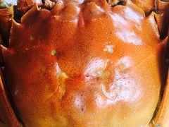 -乡乐园蟹庄·阳澄湖农家乐