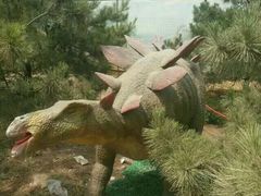 -永定河休闲森林公园