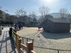 -无锡动物园·太湖欢乐园