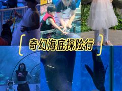 -蓬莱欧乐堡海洋极地世界