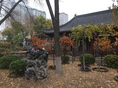 -文瀛公园