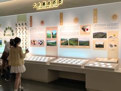 -中国茶叶博物馆(双峰馆区)