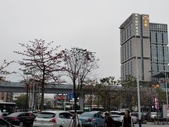 -心海州