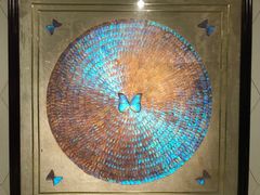 -上海昆虫博物馆