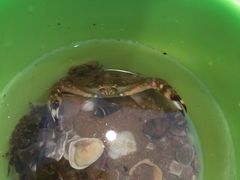 -青岛银沙滩