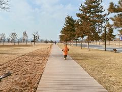 -汉长安城未央宫国家考古遗址公园